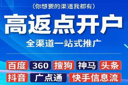 信息流广告投放公司：成功案例解析